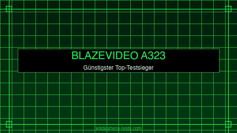 BlazeVideo A323 Wildkamera Praxistest 2026 — günstigster Top-Testsieger
