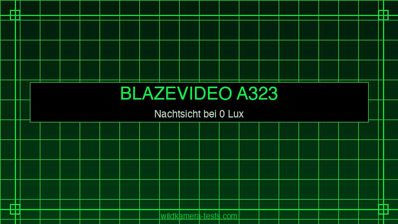 BlazeVideo A323 Nachtsicht No-Glow — Aufnahme bei 0 Lux im Wald