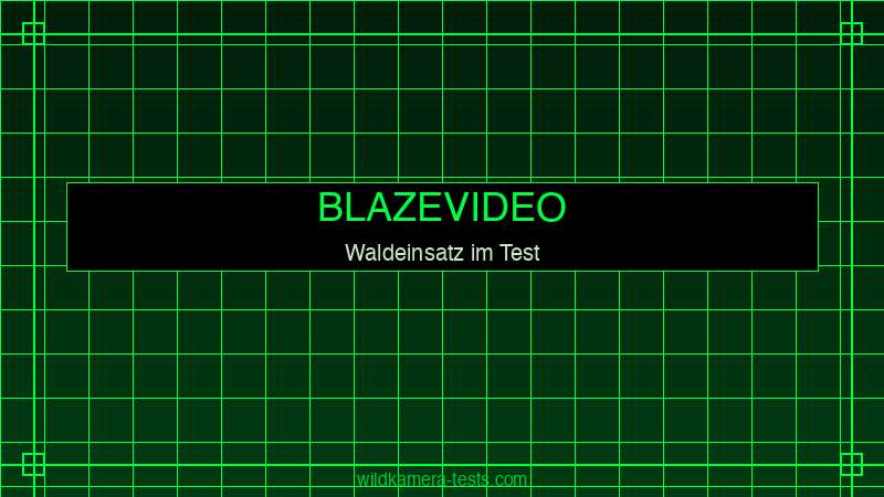 BlazeVideo A106W im Waldeinsatz — WLAN-Push-Alarm auf Smartphone