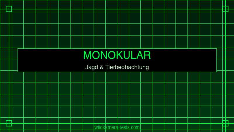 Nachtsichtgerät Monokular Jagdeinsatz — Jäger beobachtet mit Monokular bei Nacht