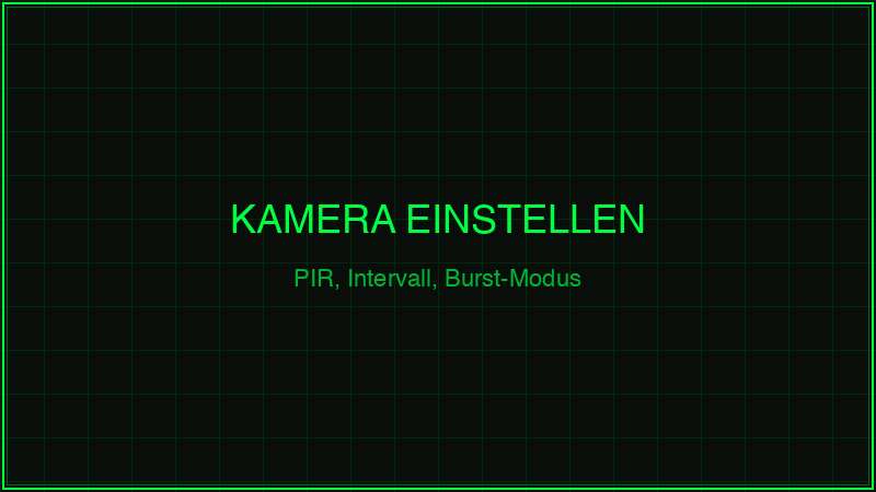 Wildkamera Einstellungen für Anfänger – PIR, Intervall und Burst-Modus