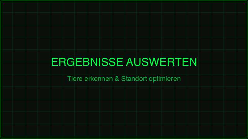 Wildkamera Ergebnisse auswerten – Tiere erkennen und Standort optimieren