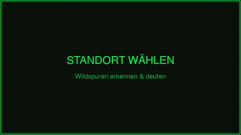 Wildkamera Standort wählen – Wildspuren erkennen und deuten