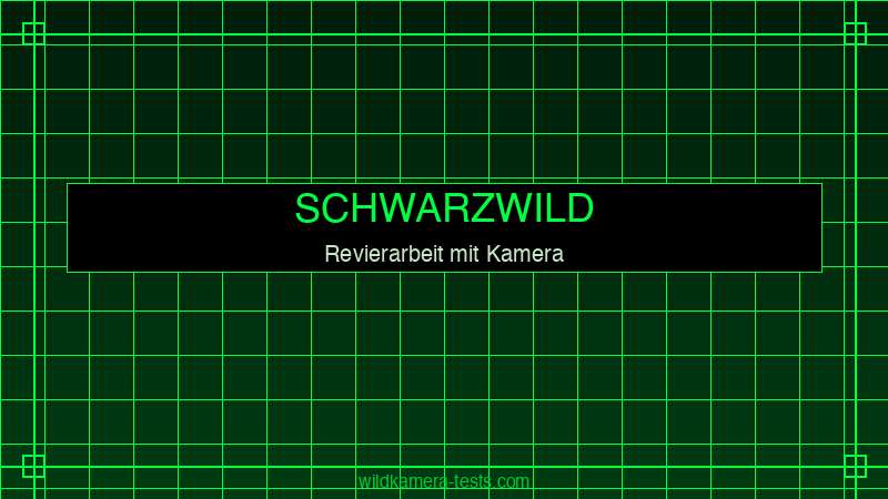 Jäger bei Revierarbeit mit Wildkamera — Schwarzwild Bestandsmanagement
