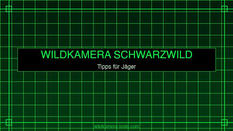 Wildkamera an Schwarzwild-Kirrung — Tipps für Jäger 2026