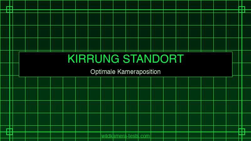 Wildkamera Standortwahl an Schwarzwild-Kirrung — optimale Positionierung