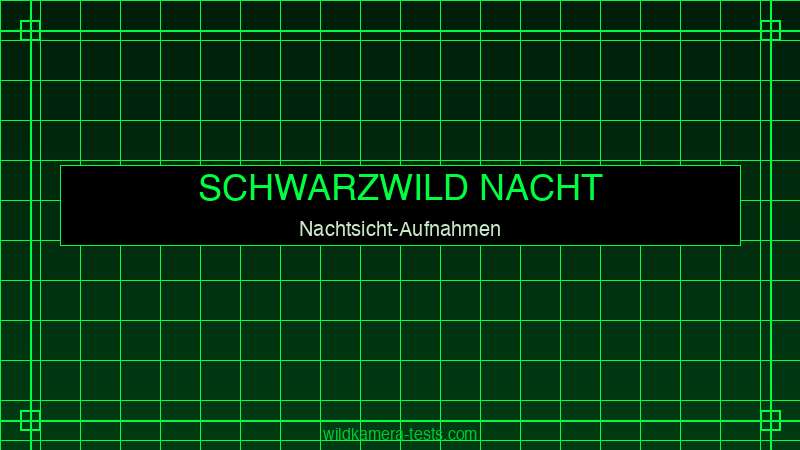 Wildkamera Schwarzwild Nacht — No-Glow Nachtsicht Kirrungsaufnahme