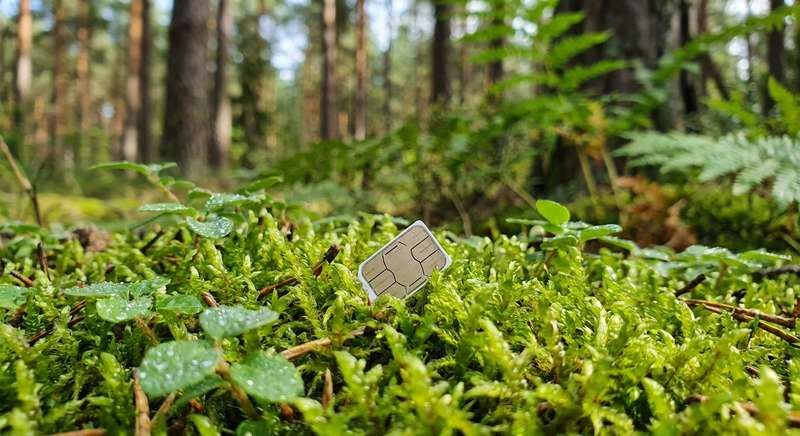 SIM-Karte für LTE-Wildkamera — Tarife und Anbieter im Vergleich