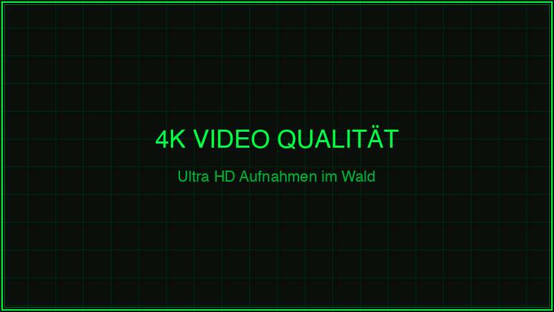 Braun Black1320 4K Video Qualität – Ultra HD Wildkamera im Test