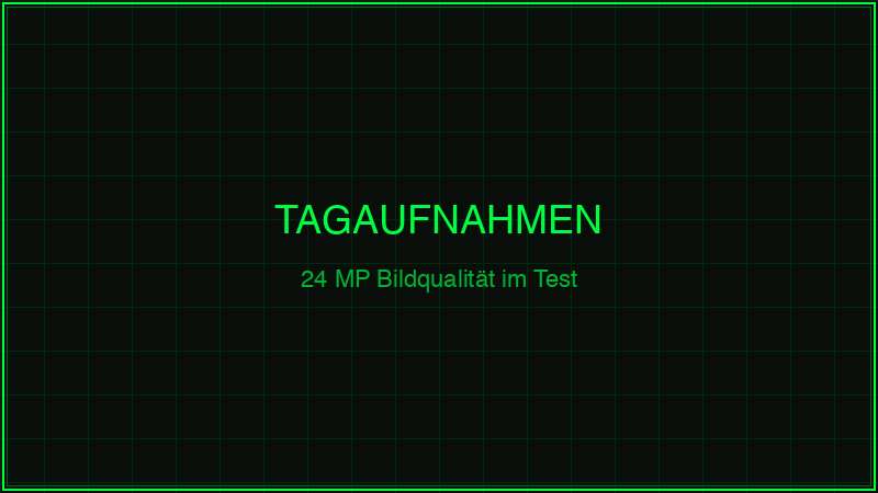 GardePro E8 Tagaufnahmen – 24 MP Bildqualität im Praxistest