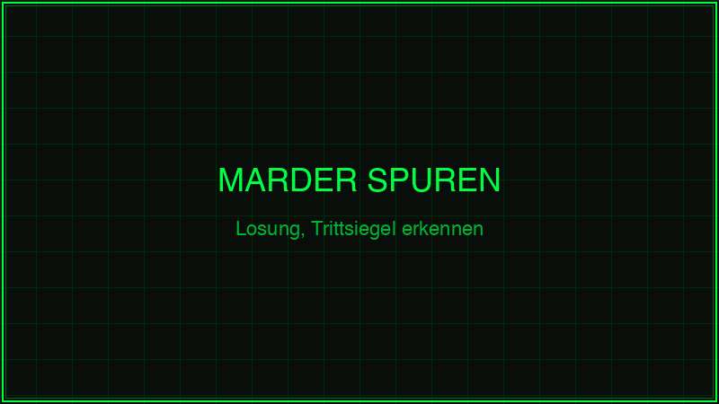 Marder Spuren erkennen – Losung und Trittsiegel