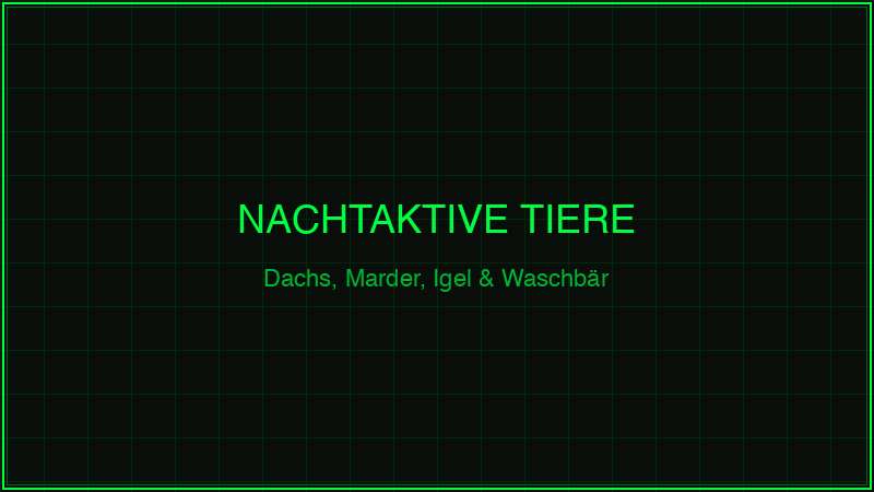 Nachtaktive Tiere mit Wildkamera – Dachs, Marder, Igel und Waschbär