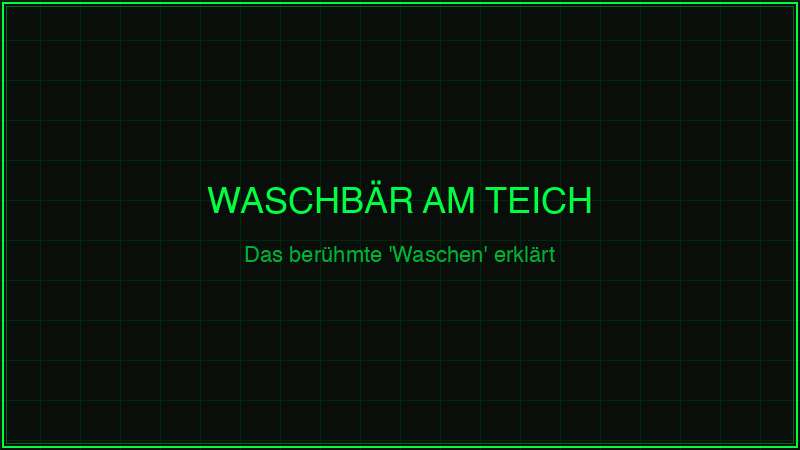 Waschbär am Teich – das berühmte Waschen erklärt