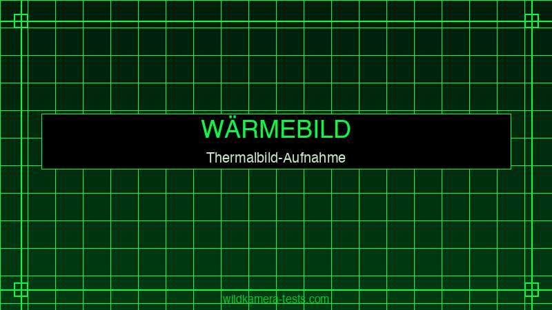 Reh im Wärmebild — Thermal-Aufnahme einer Wildkamera bei 0 Lux Dunkelheit