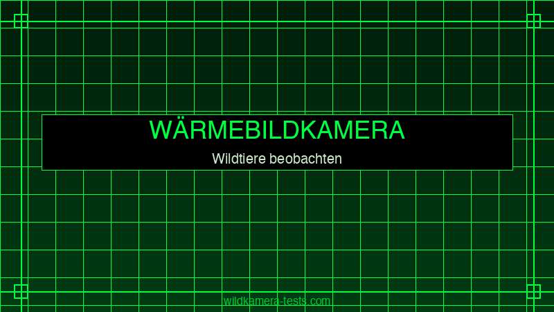 Wärmebildkamera Wildtierbeobachtung im Wald bei Nacht — Ratgeber 2026