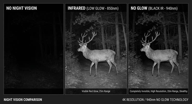 4K-Wildkamera Nachtsicht — Vergleich No-Glow vs. Farbsensor